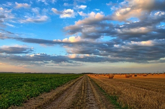 disoccupazione agricola