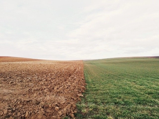 disoccupazione agricola 3